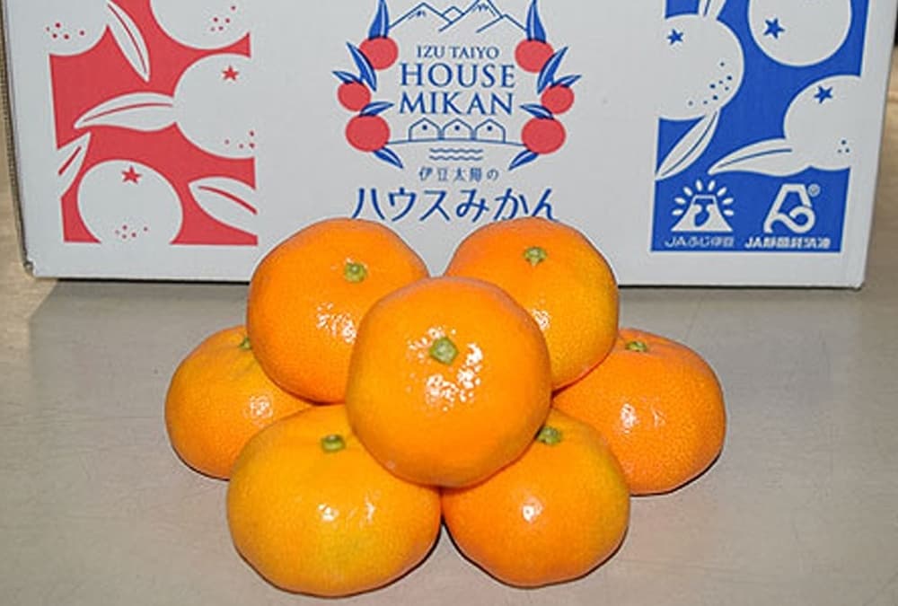 伊豆太陽ハウスみかん