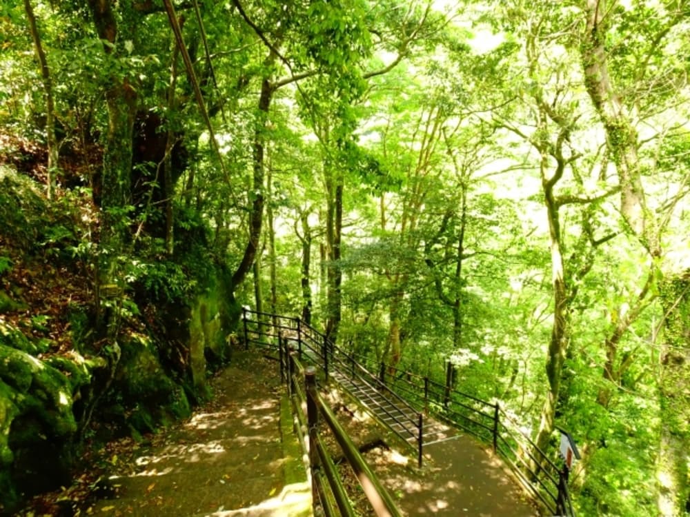 3浄蓮の滝　階段
