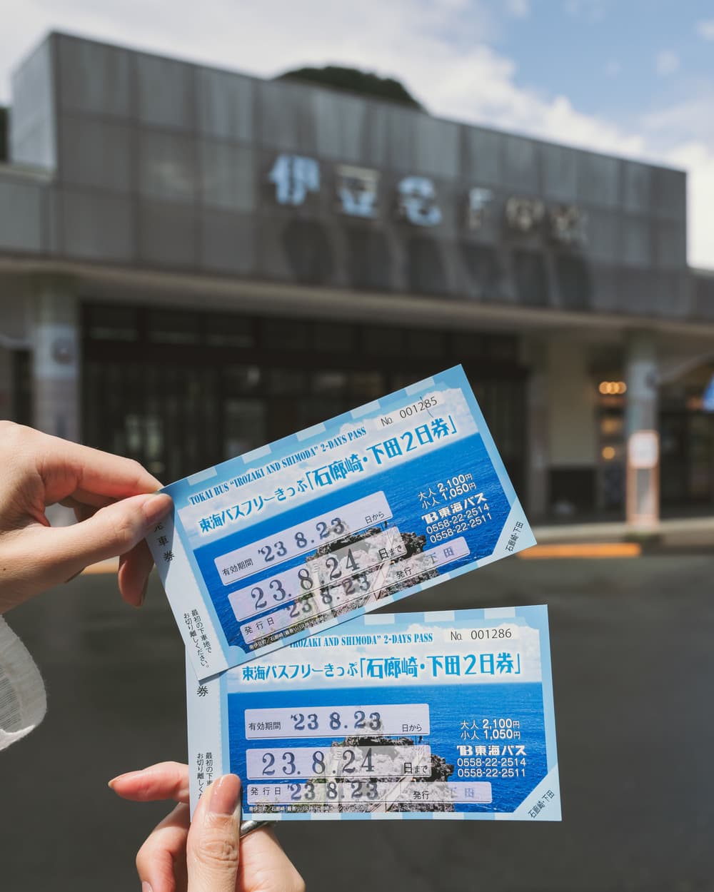 東海バスフリーきっぷ 石廊崎・下田2日券