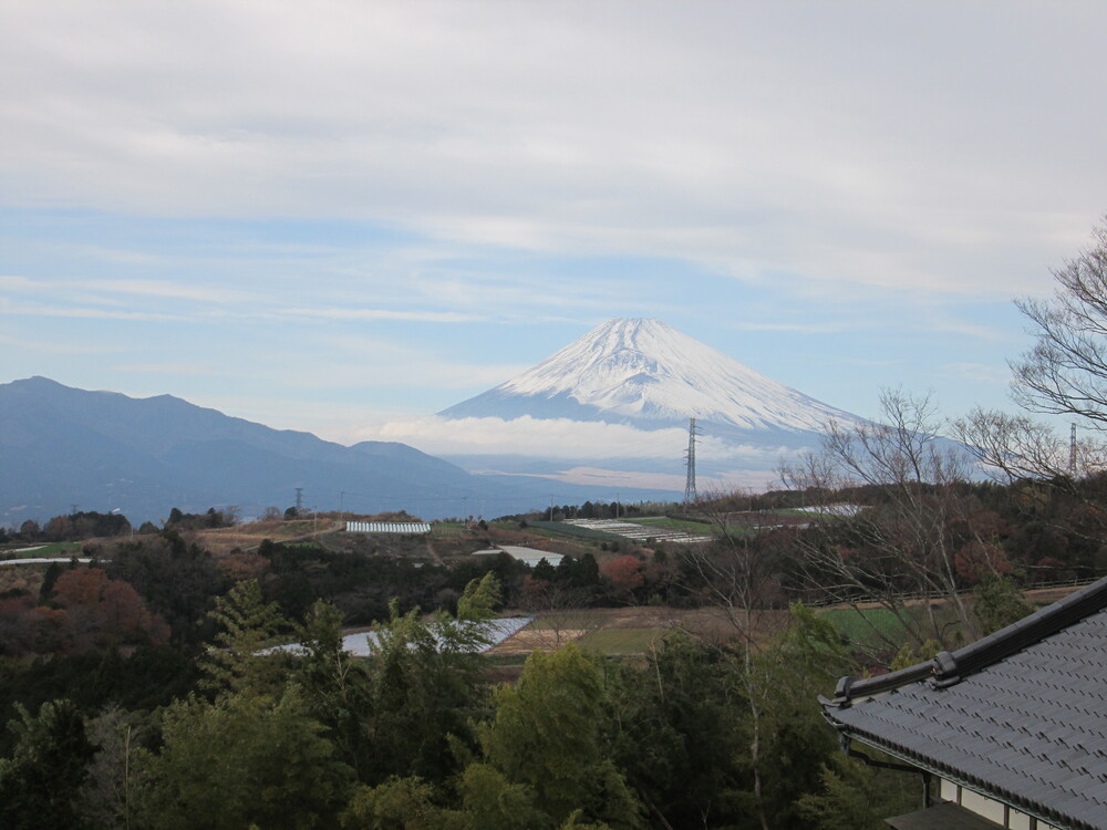 旧箱根街道ウォーキング