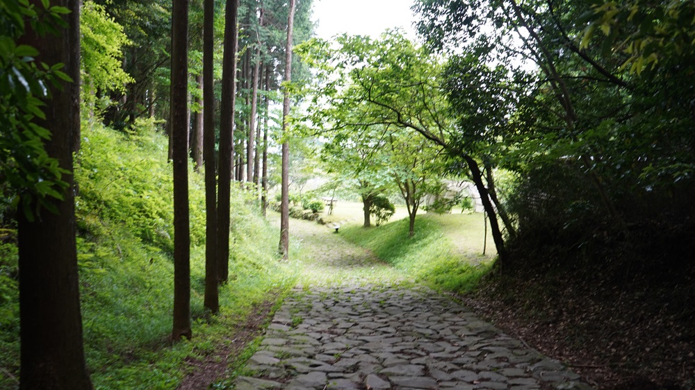 旧箱根街道ウォーキング