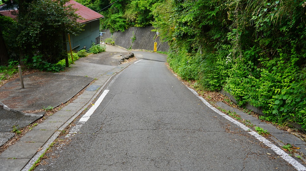 旧箱根街道ウォーキング