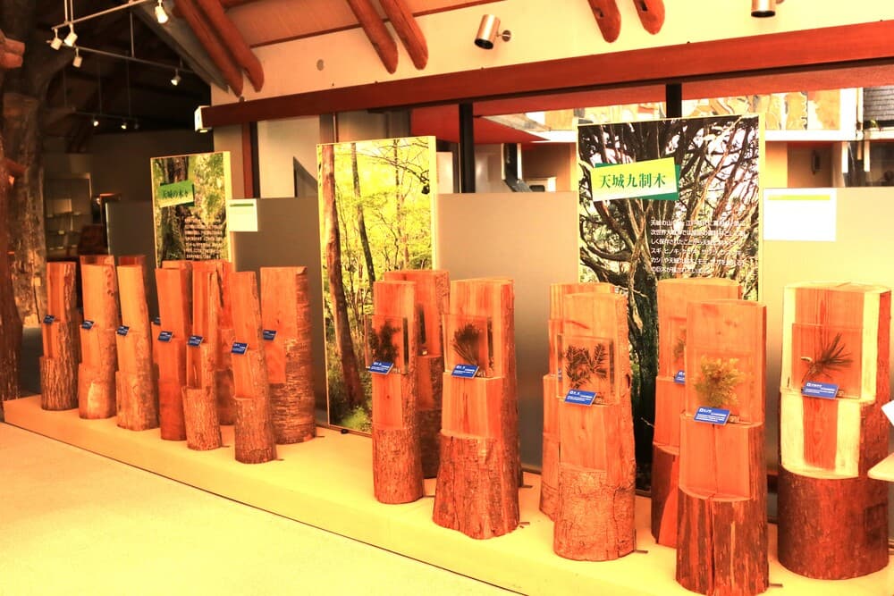 森の情報館