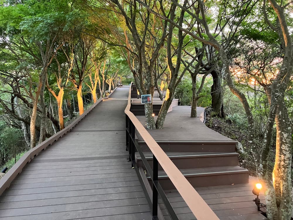 特集】夏に楽しめる、中伊豆のおすすめ観光スポット5選 - COLUMN｜Izu